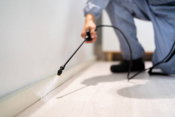 Bed Bug Pre-Treatment Preparation Assessment in Seward