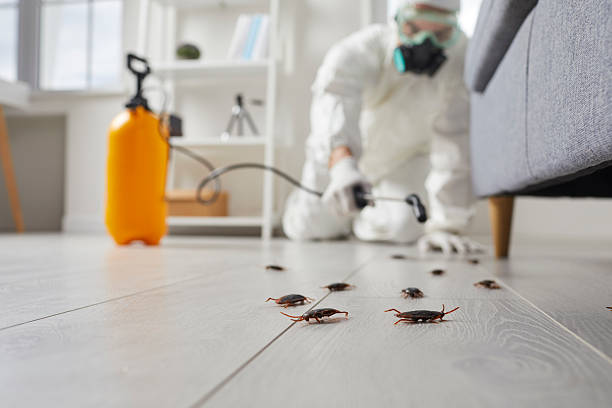 Post-Treatment Bed Bug Interceptor Monitoring in Seward