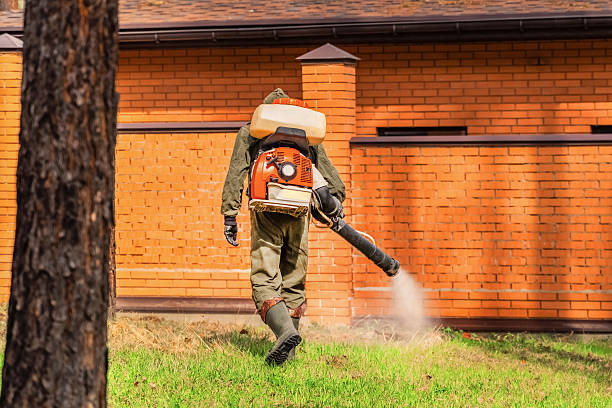 Bed Bug Clearance Verification and Documentation in Seward